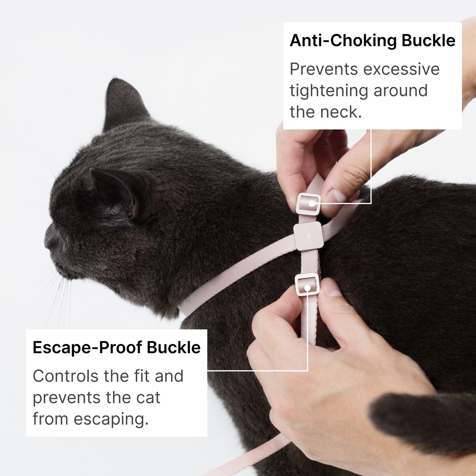 Escape-Proof Harness (8-Shape)