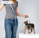 Hands-Free Leash (Light)