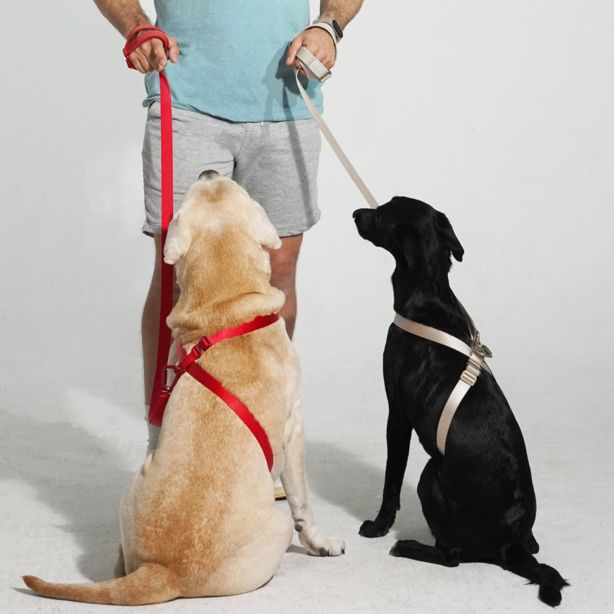 Light Alloy Harness