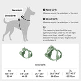 All-Weather Harness (Light)