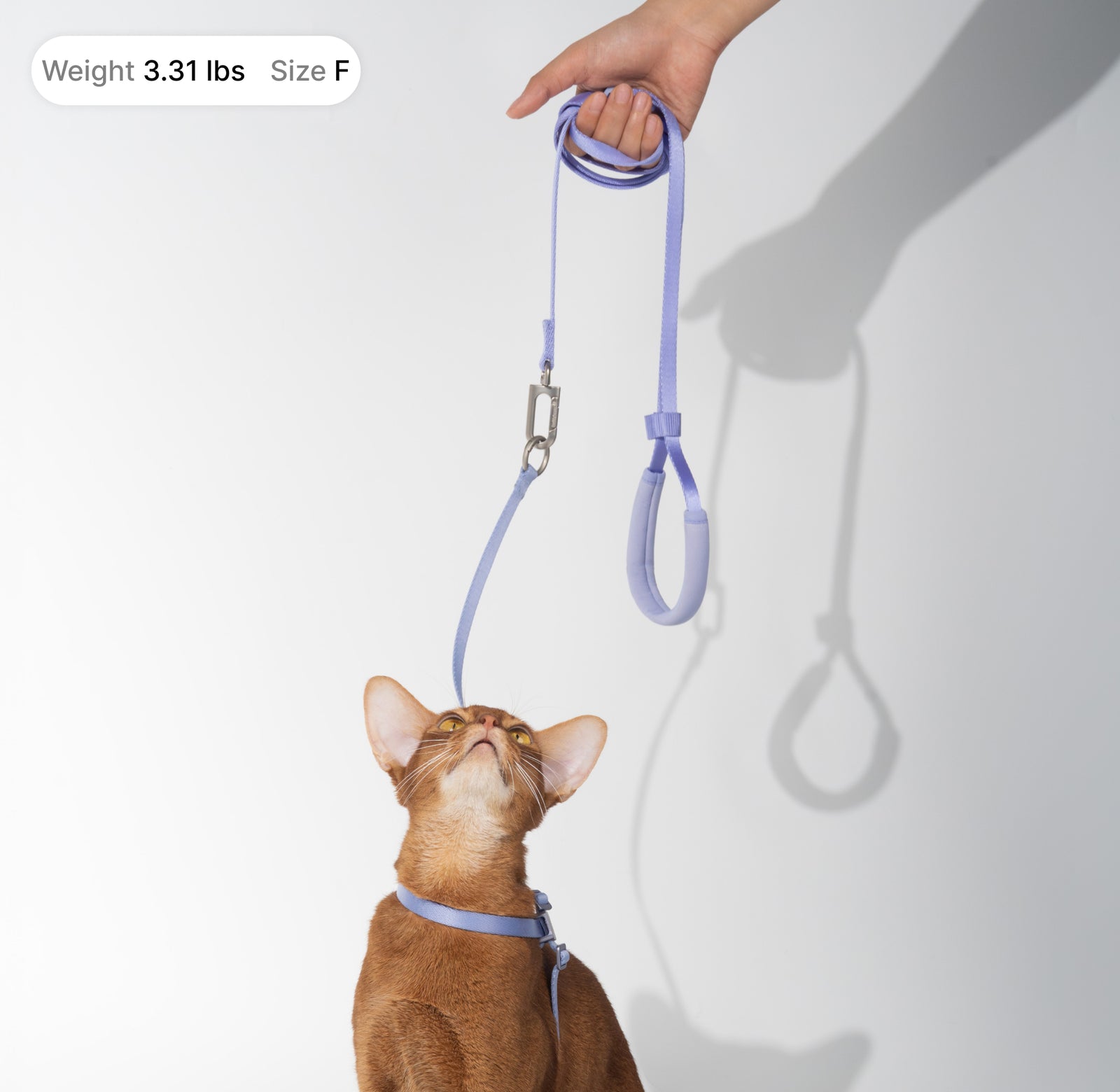 Escape-Proof Harness (All-in-One)