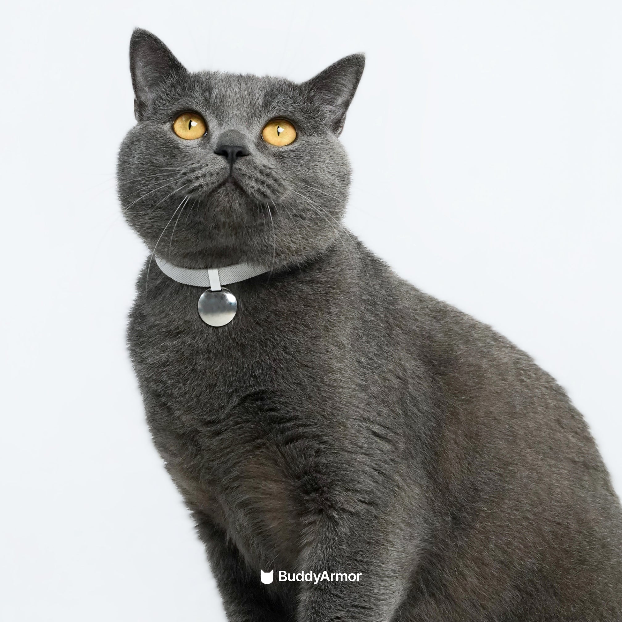 Anti-Chocking Cat Collar (Elastic Webbing)