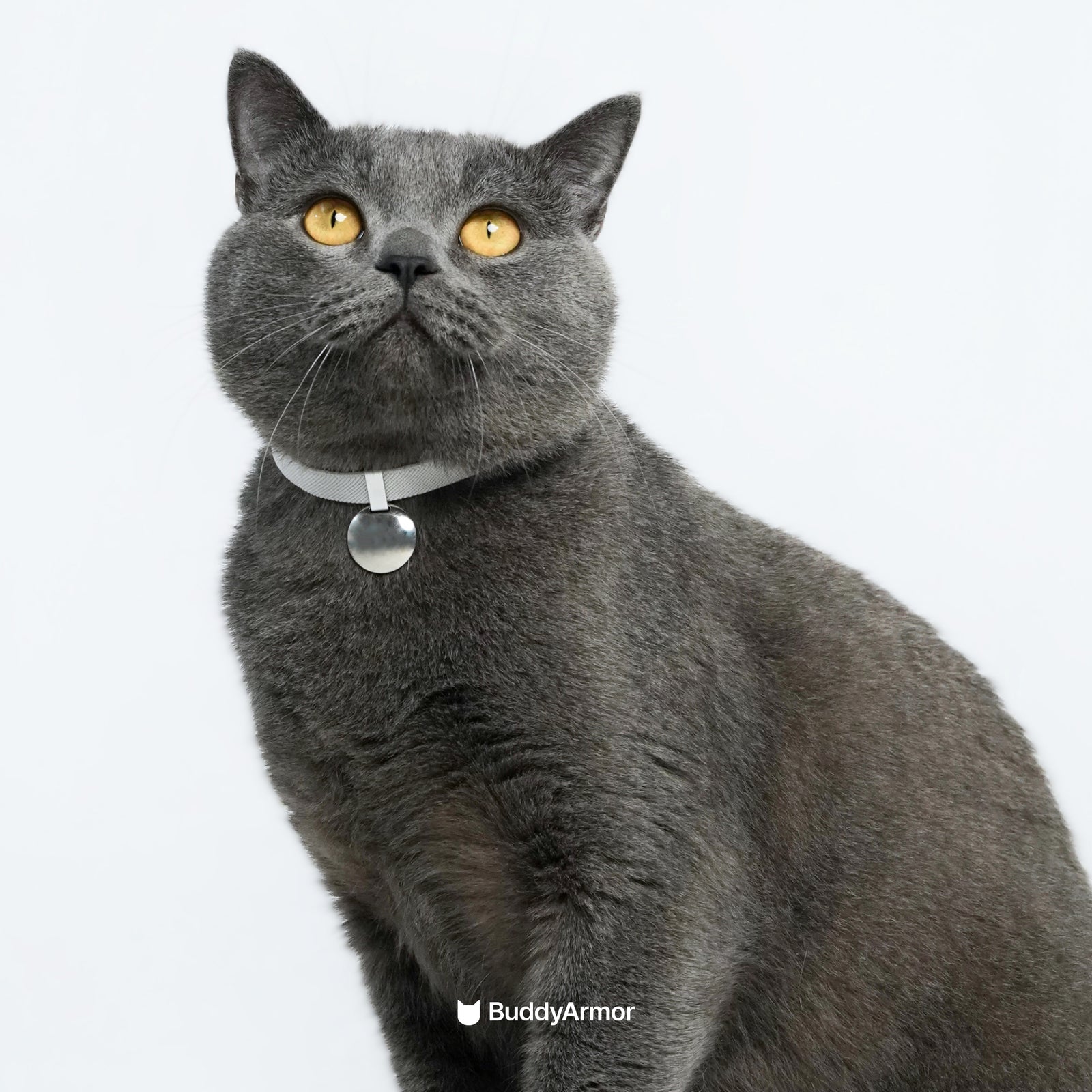 Anti-Choking Cat Collar (Elastic Webbing)