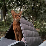 Sense-Security Cat Carrier (Tent)