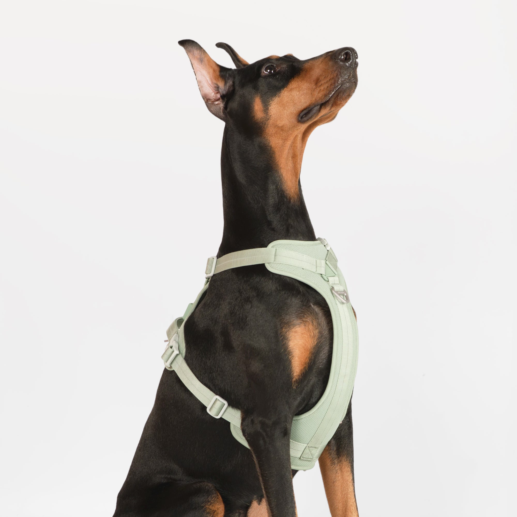 All-Weather Harness (Light)