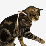 Escape-Proof Harness (8-Shape Gen 2)