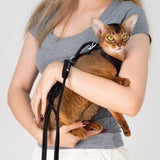Hands-Free Leash (Cord)