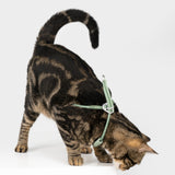 Escape-Proof Harness (Y-Shaped)