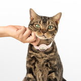 Anti-Choke AirTag Cat Collar G2 (QR)