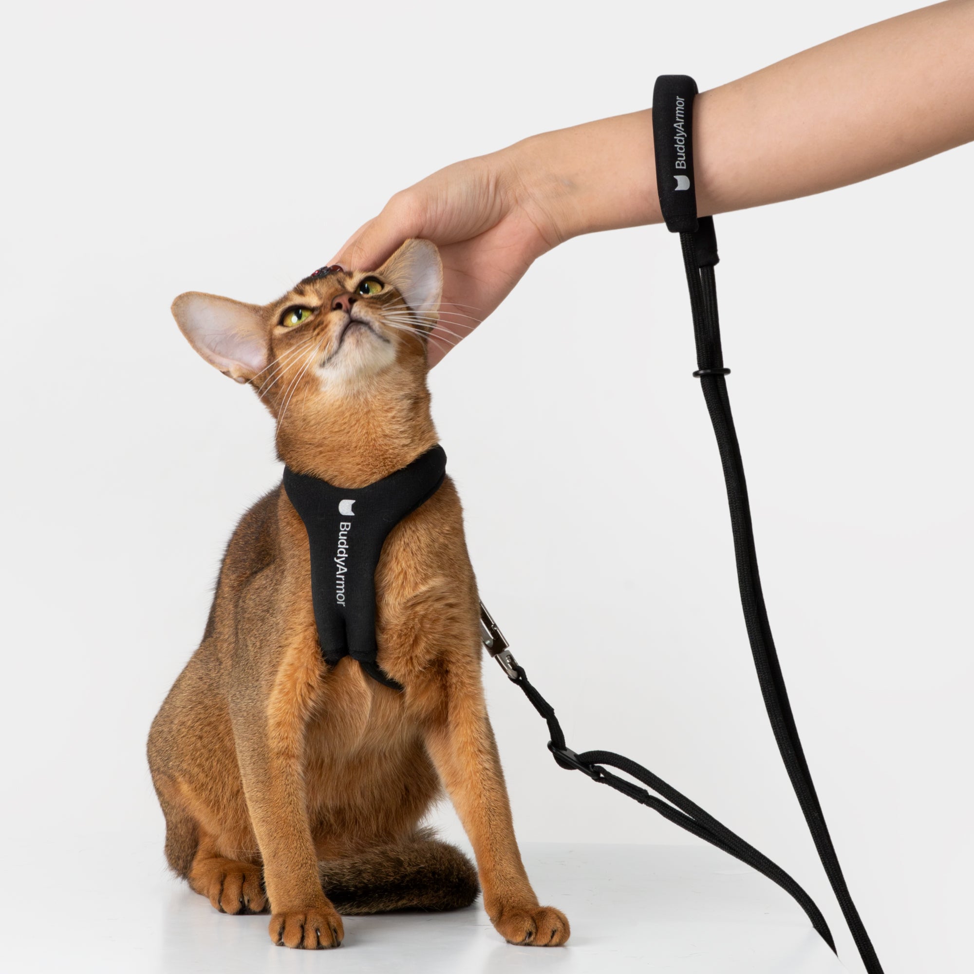 Escape-Proof Y-Shape Harness