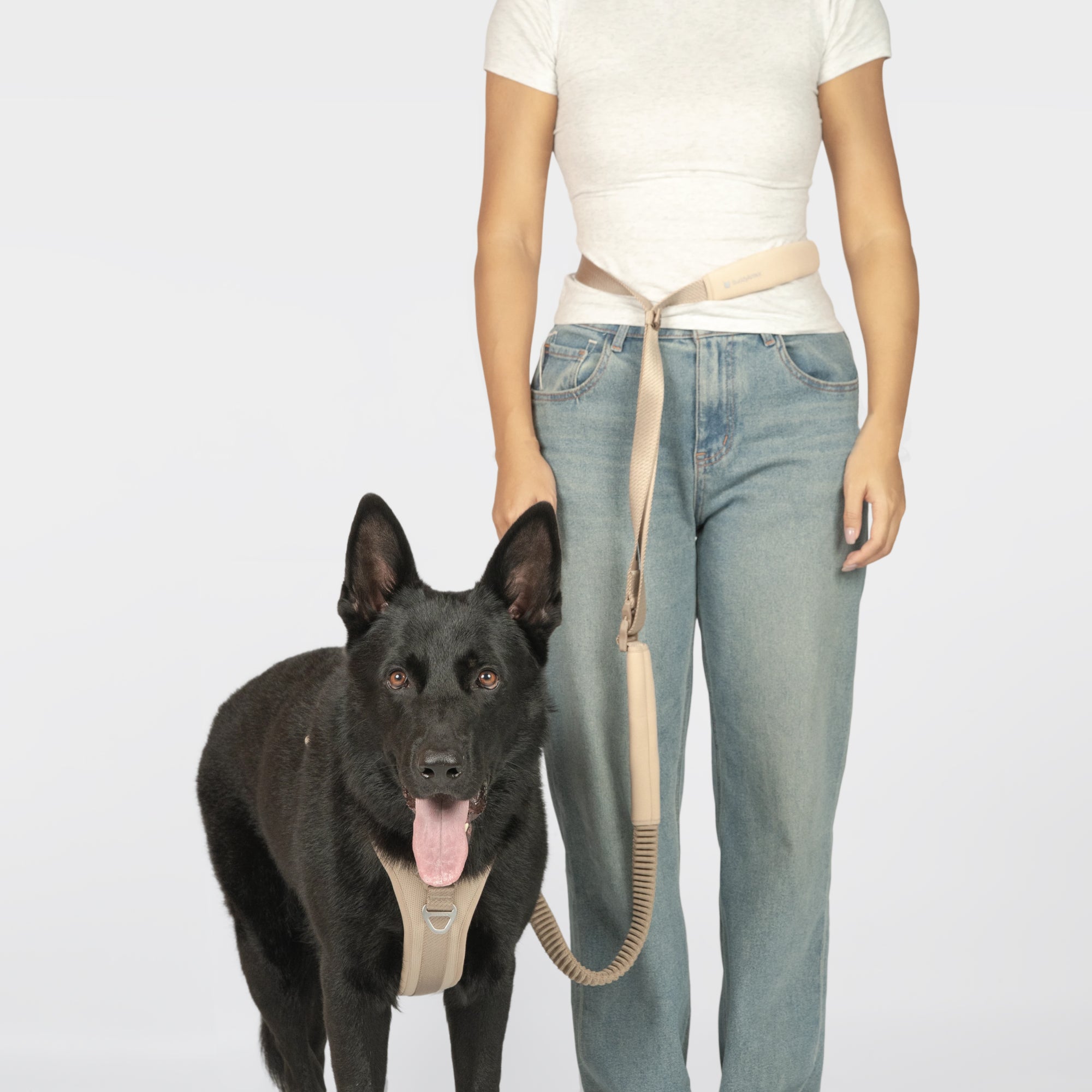 Hands-Free Leash (Super Reflective)