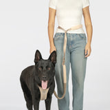 Hands-Free Leash (Super Reflective)