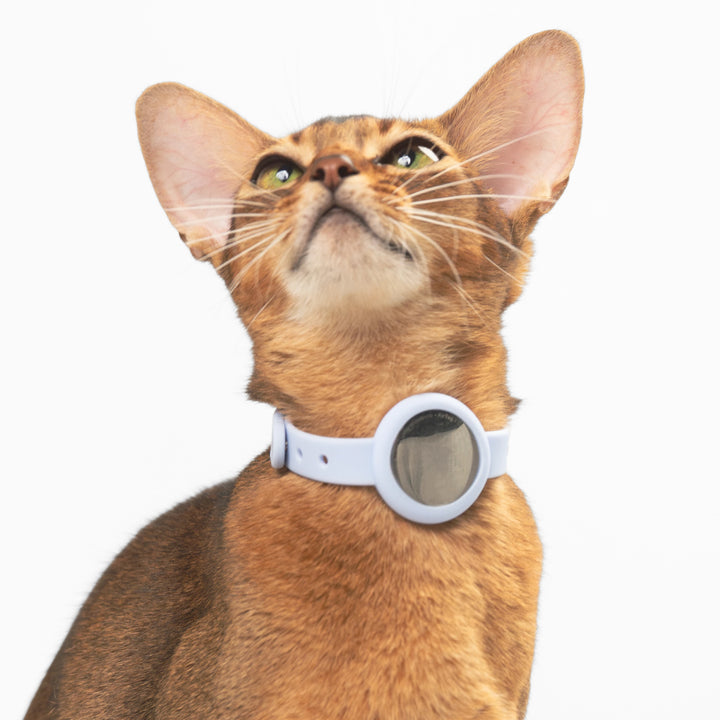Anti-Chocking Cat Collar (AirTag Elastic Silicone)