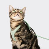 Hands-Free Leash (Cord)