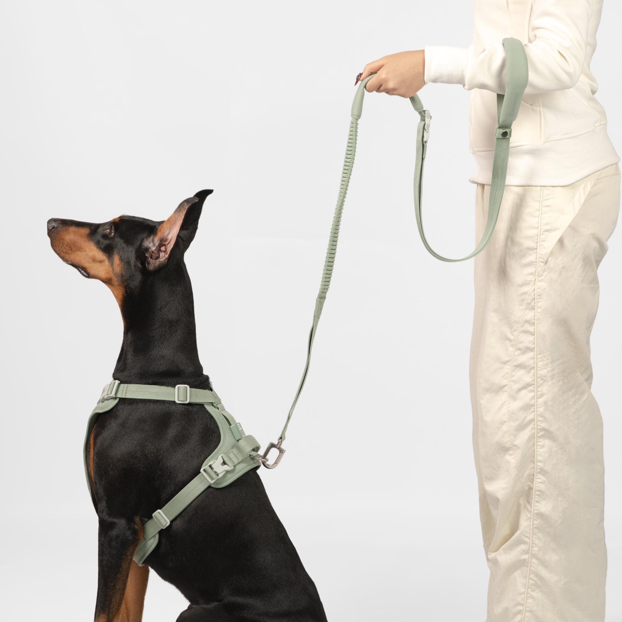 Hands-Free Leash (Super Reflective)