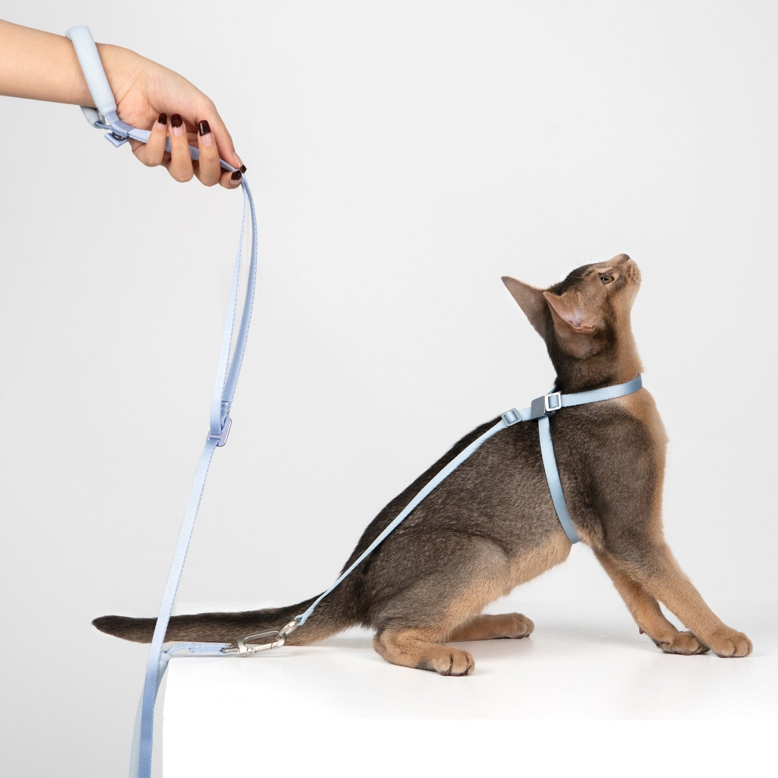 Hands-Free Leash (Light)