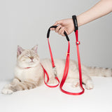 Hands-Free Leash (Light)
