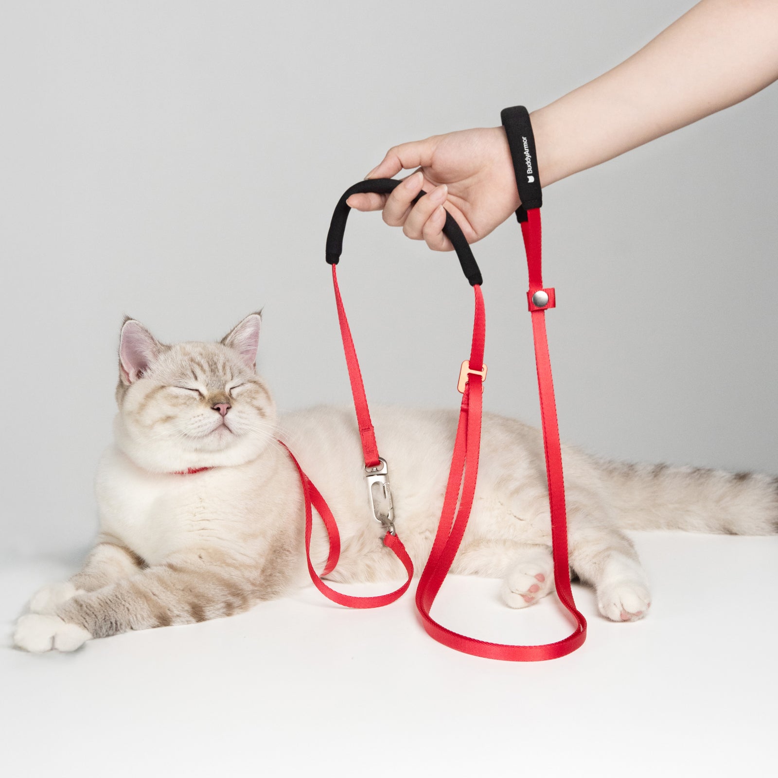 Hands-Free Leash (Light)