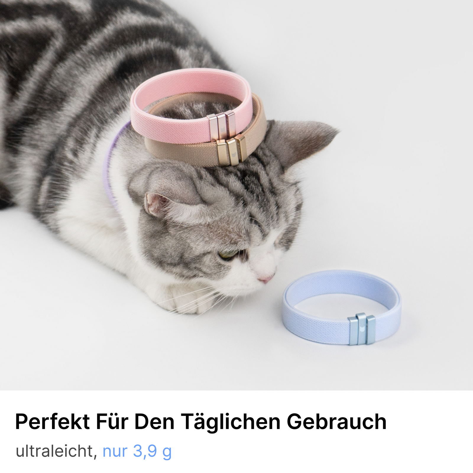 Anti-Choking Cat Collar (Elastic Webbing)