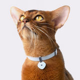 Anti-Choking Cat Collar (Elastic Webbing)