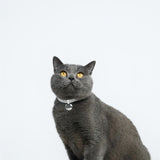 Gem Tag +Safety Cat Collar