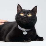 Star Tag + Safety Cat Collar