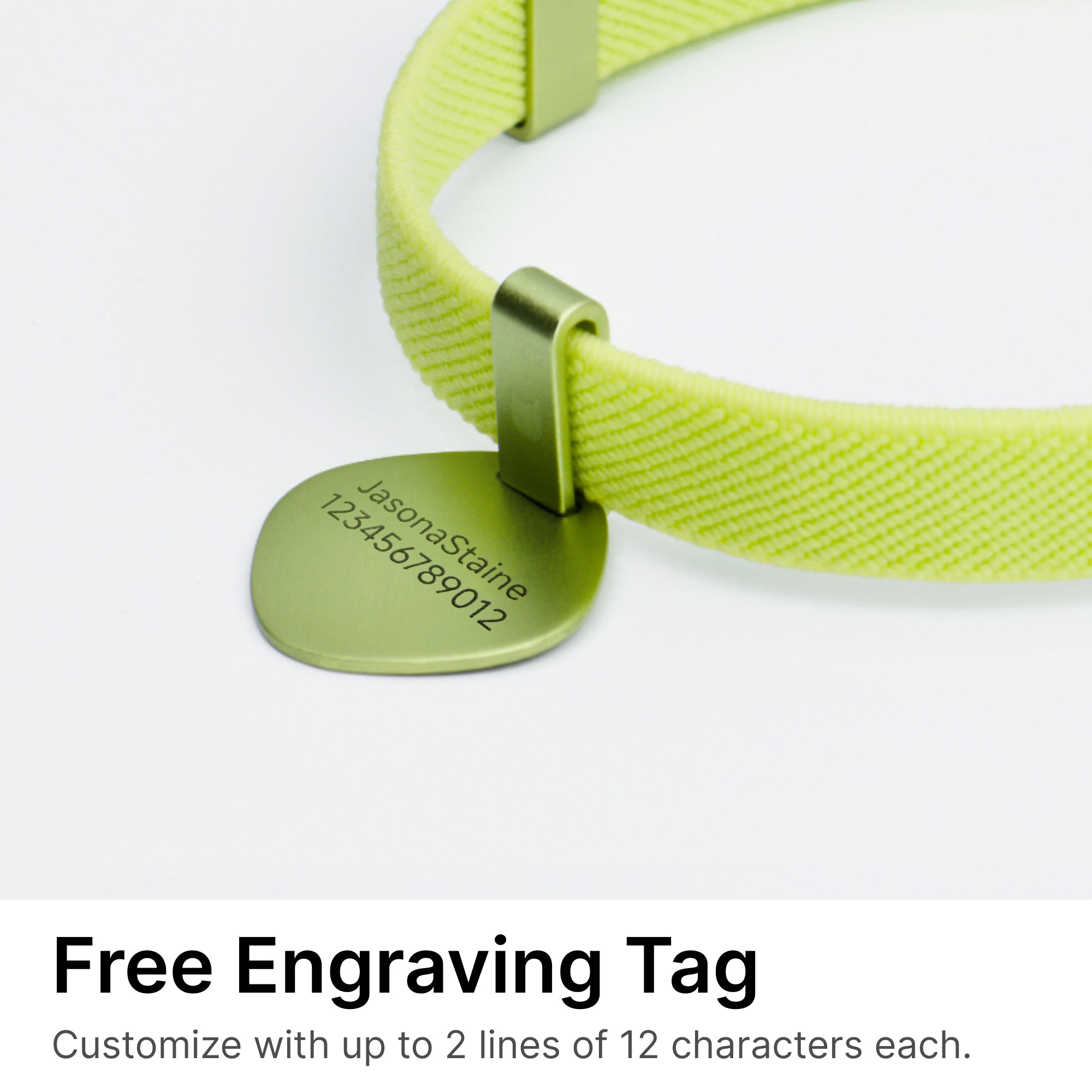 Star Tag + Safety Cat Collar