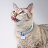 Star Tag + Safety Cat Collar