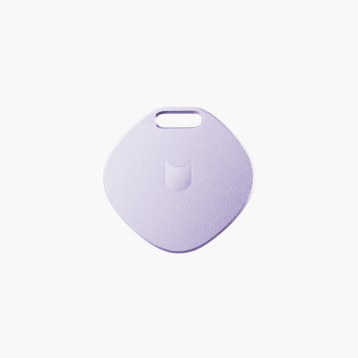 Anti-Lost Engraved Tag (Star)