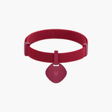 Star Tag + Safety Cat Collar