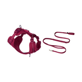 All-Weather Harness Leash SET