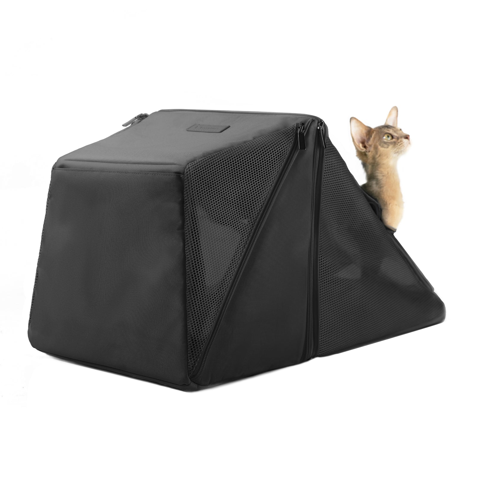 Sense-Security Cat Carrier (Cyber)