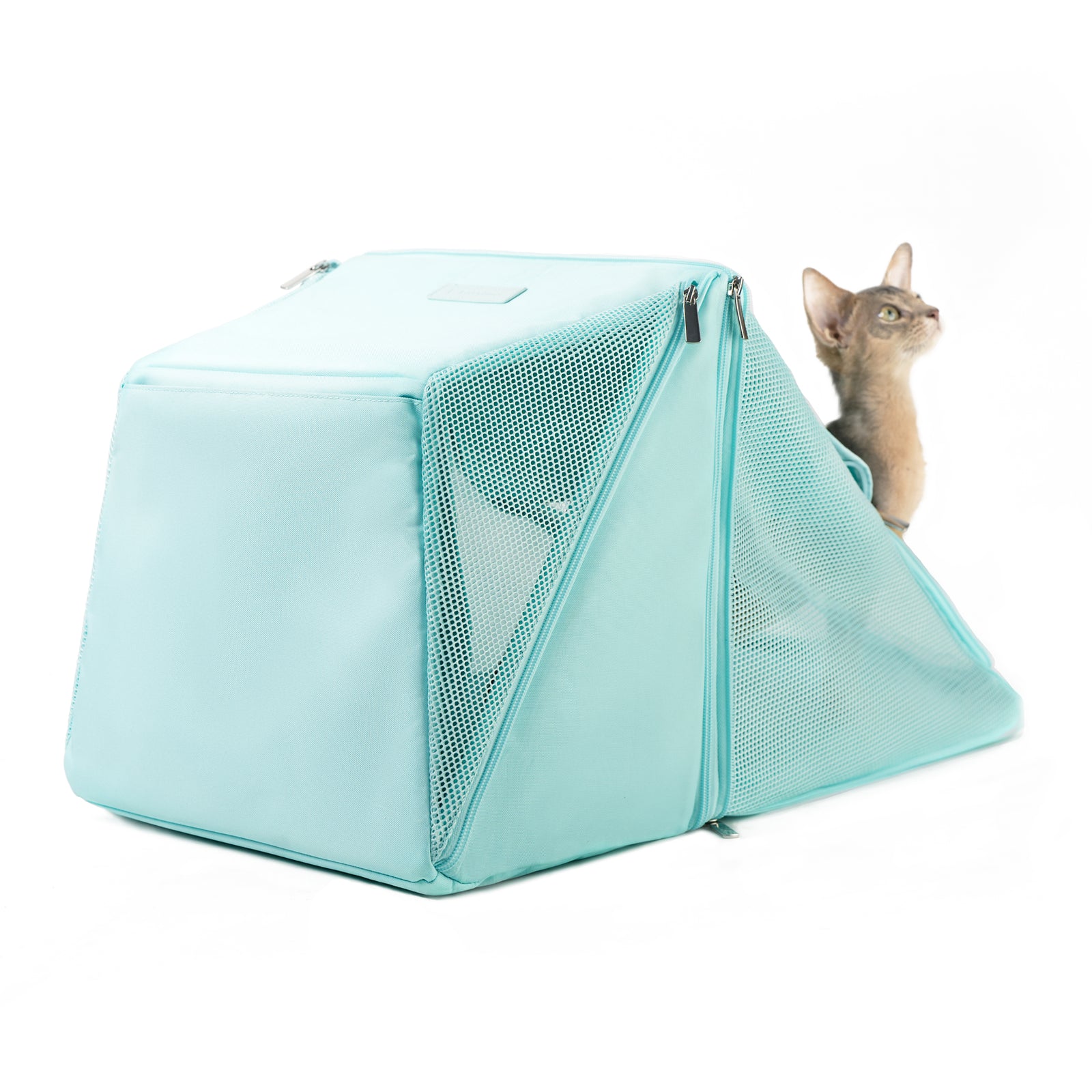 Sense-Security Cat Carrier (Cyber)
