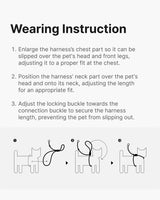 Escape Proof Training Harness - Leather - BuddyArmor