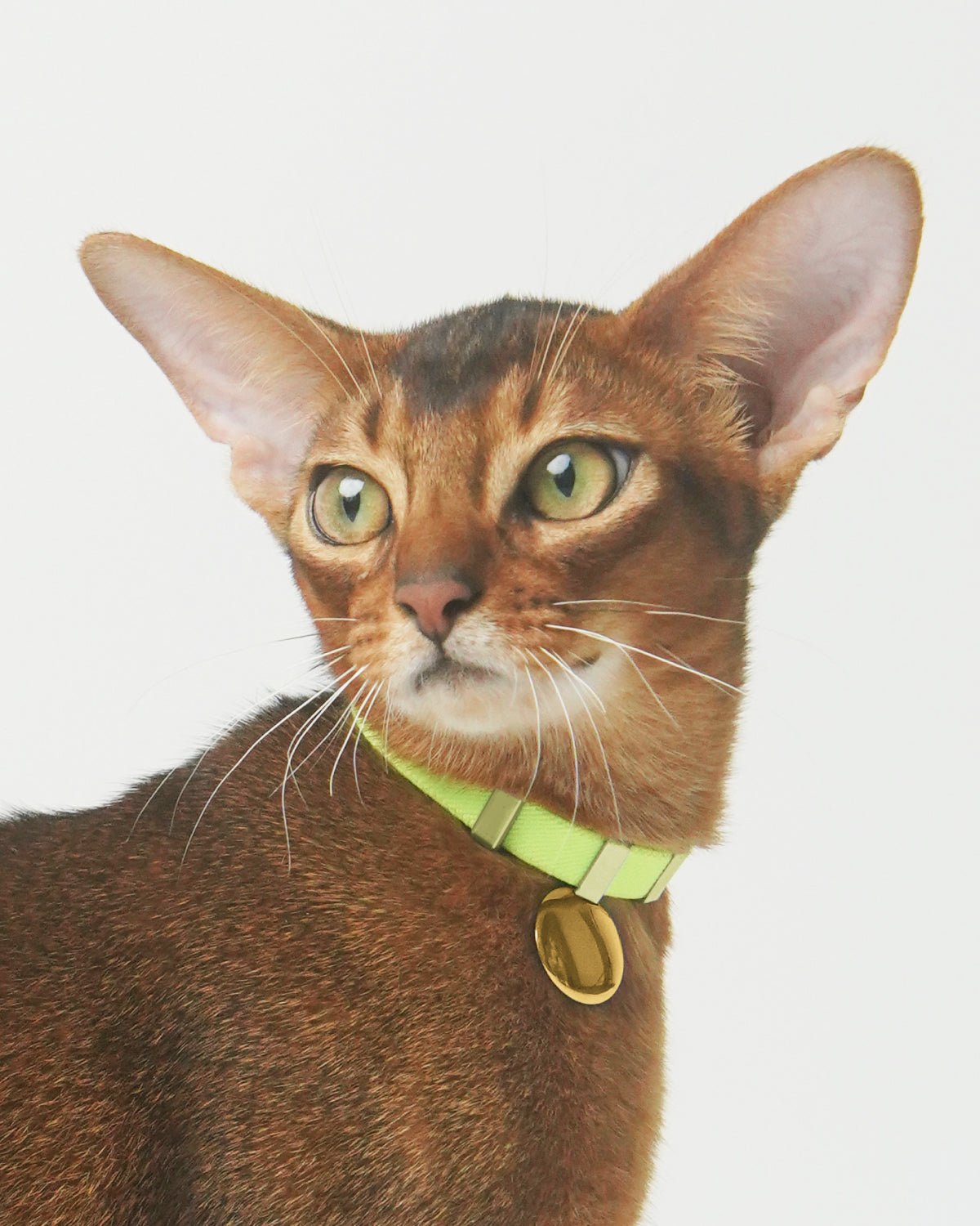 Gem Tag - BuddyArmor