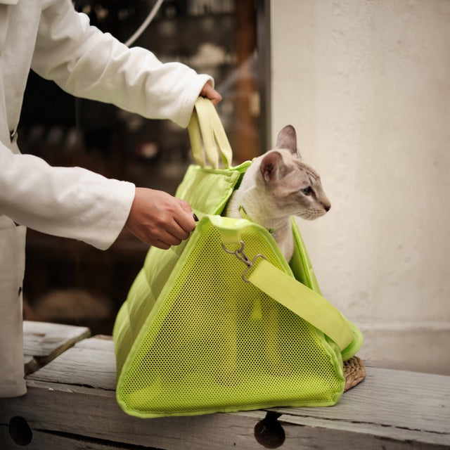 Kent Cat Carrier - BuddyArmor